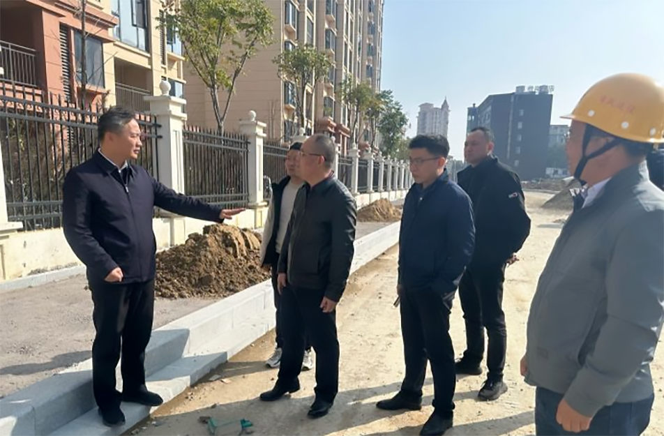青山湖區(qū)黨委副書記、區(qū)長楊育星到利民路項目調(diào)研